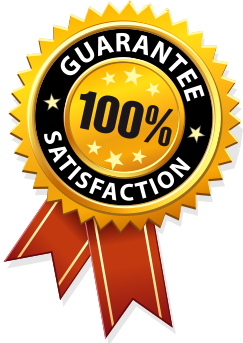 SearchBerg Reviews | Genuine SEO Testimonials from SearchBerg Clients